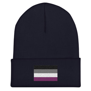 Asexual Flag Beanie - Embroidered LGBT+ Winter Hat
