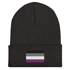 Asexual Flag Beanie - Embroidered LGBT+ Winter Hat