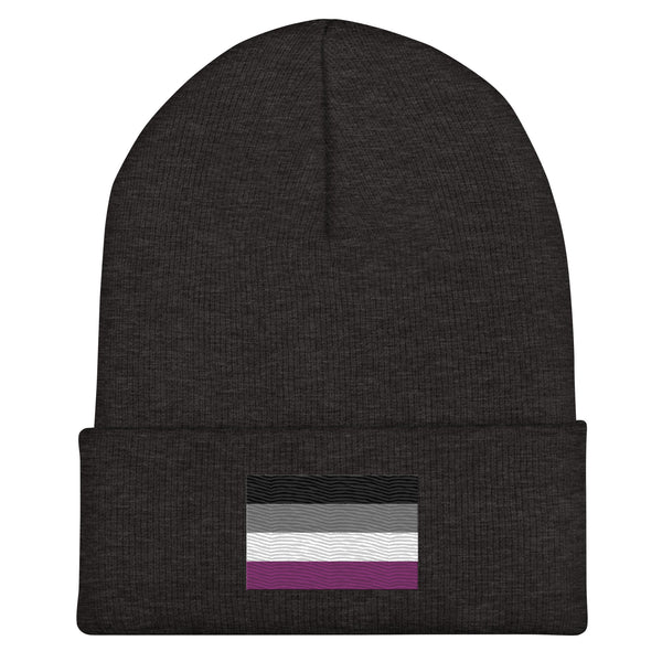 Asexual Flag Beanie - Embroidered LGBT+ Winter Hat