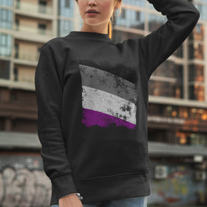 Asexual Flag - Distressed LGBT+ Sweatshirt