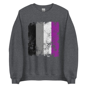 Asexual Flag - Distressed LGBTQIA2S+ Sweatshirt