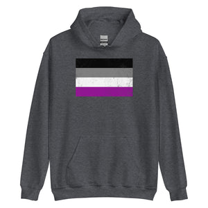Asexual Flag - LGBT+ Hoodie