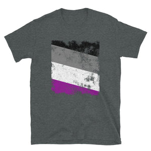 Asexual Flag - Distressed LGBT+ T-Shirt