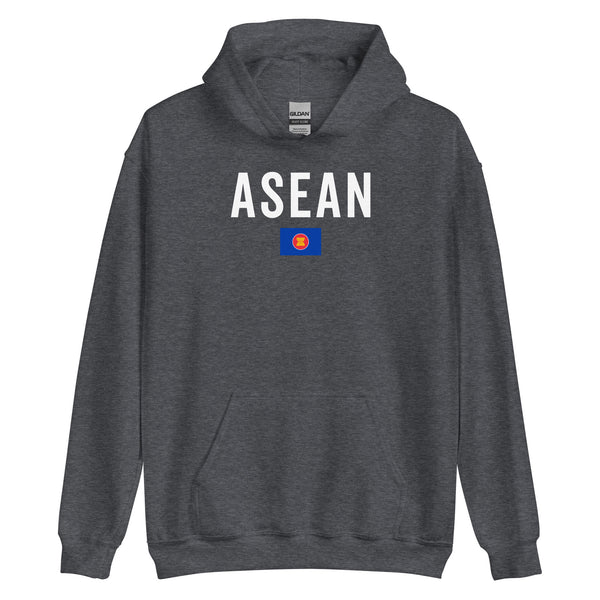 Association Of Southeast Asian Nations Flag Hoodie