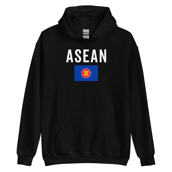 Association Of Southeast Asian Nations Flag Hoodie