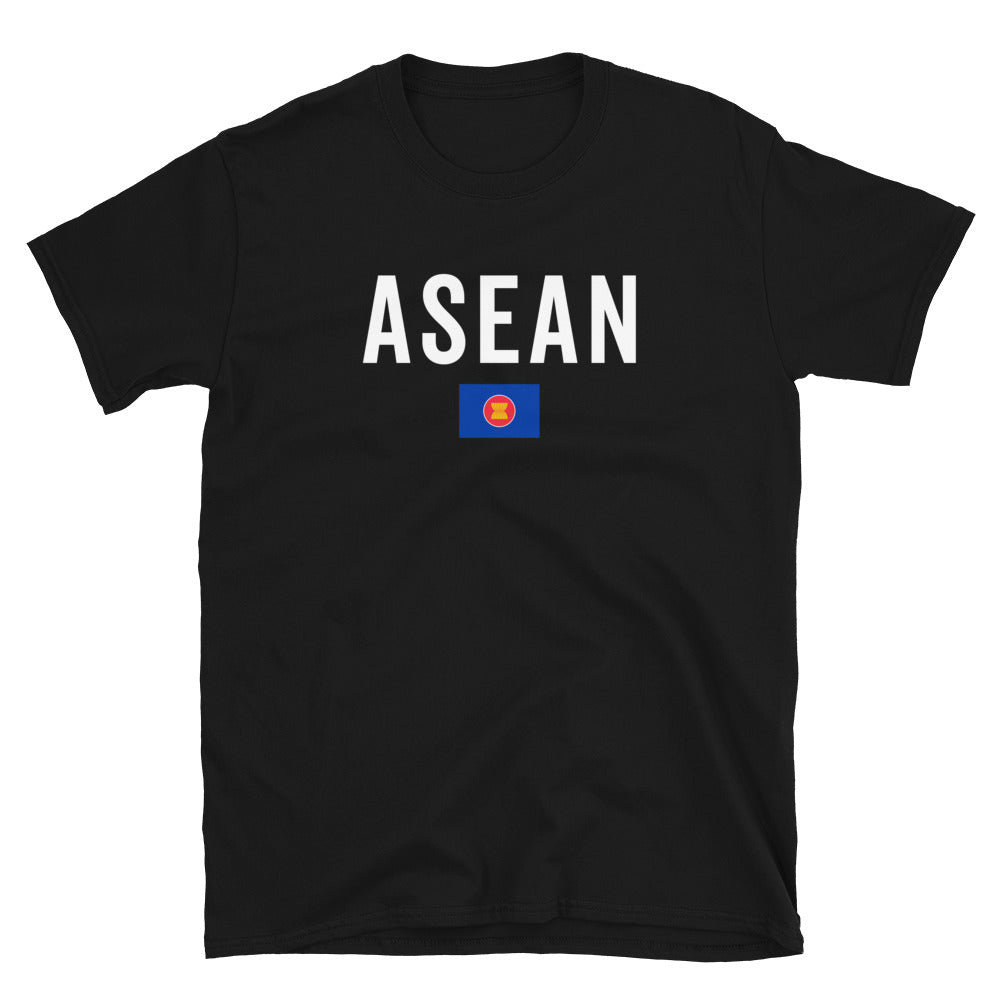 Association Of Southeast Asian Nations Flag T-Shirt