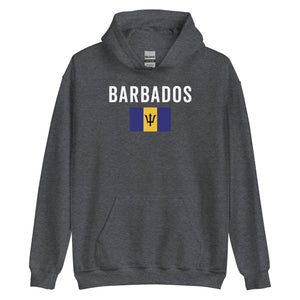 Barbados Flag Hoodie