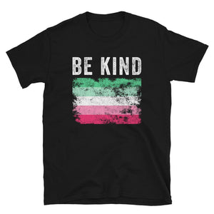 Be Kind Abrosexual Flag - Distressed LGBT+ T-Shirt