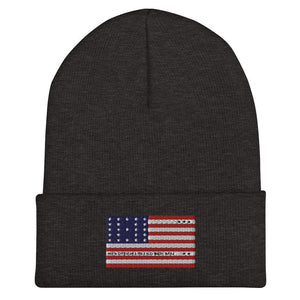 Bikini Atoll Flag Beanie - Embroidered Winter Hat