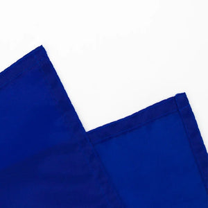 Bonnie Blue Flag - 90x150cm(3x5ft) - 60x90cm(2x3ft)