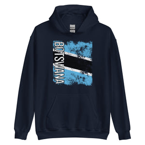 Botswana Flag - Distressed Flag Hoodie