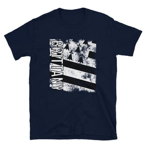 Brittany Flag Distressed T-Shirt