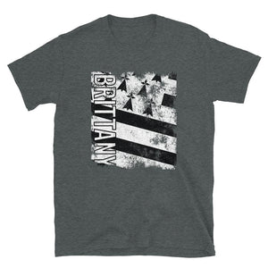 Brittany Flag Distressed T-Shirt