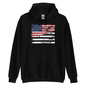 Brittany USA Flag Hoodie