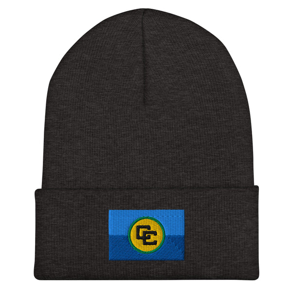 Caribbean Community Flag Beanie - Embroidered Winter Hat