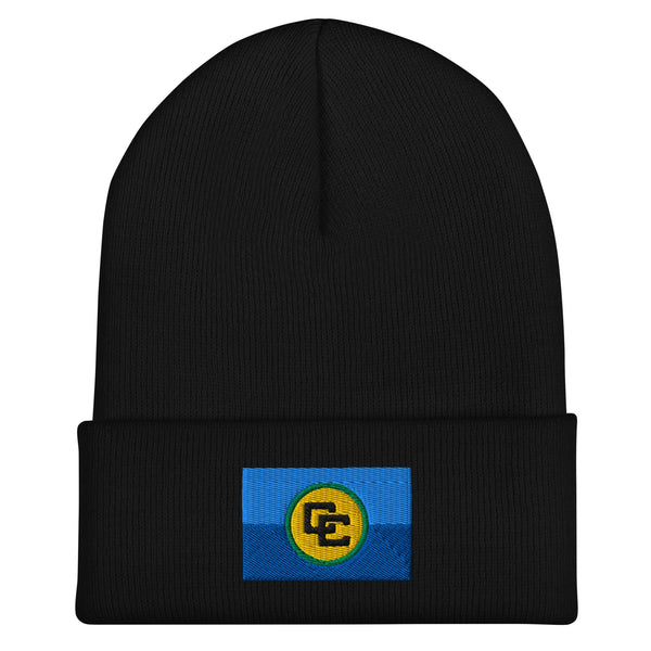 Caribbean Community Flag Beanie - Embroidered Winter Hat