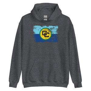 Caribbean Community Flag Hoodie