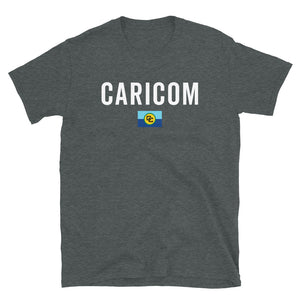 Caribbean Community Flag T-Shirt