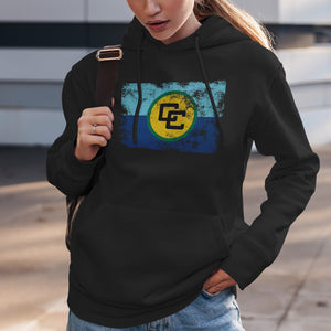 Caribbean Community Flag Hoodie