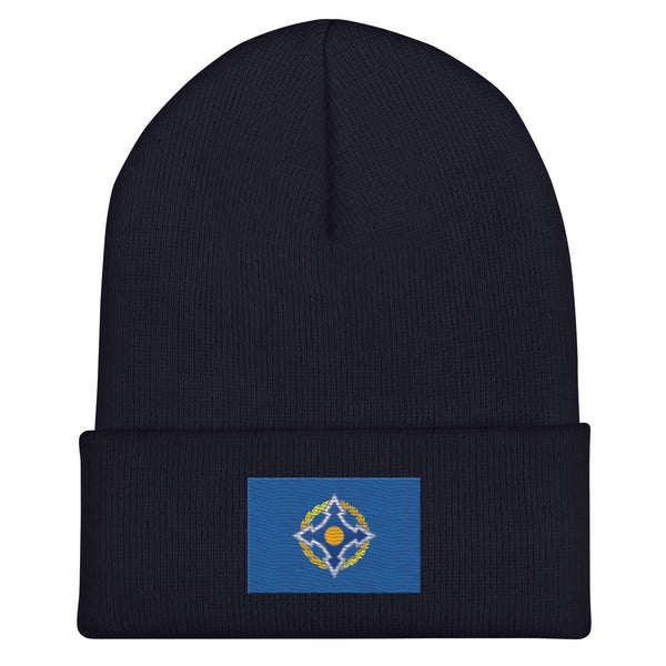 Collective Security Treaty Organization Flag Beanie - Embroidered Winter Hat