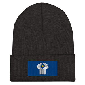 Commonwealth Of Independent States Flag Beanie - Embroidered Winter Hat