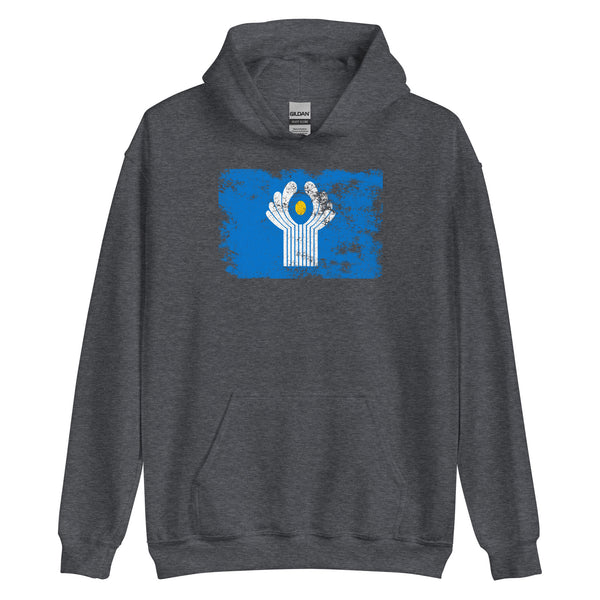 Commonwealth Of Independent States Flag Hoodie