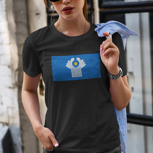 Commonwealth Of Independent States Flag T-Shirt