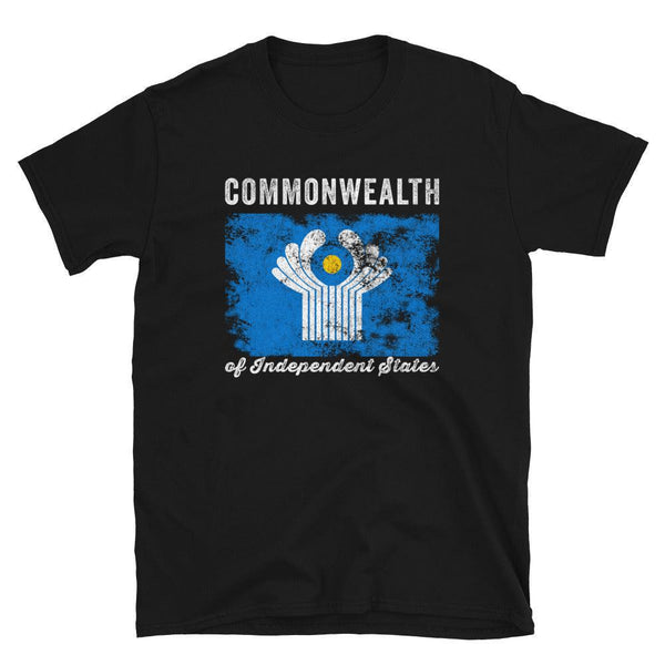 Commonwealth Of Independent States Flag T-Shirt