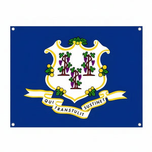 Connecticut State Flag - 90x150cm(3x5ft) - 60x90cm(2x3ft)