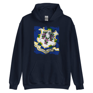 Connecticut State Flag Hoodie