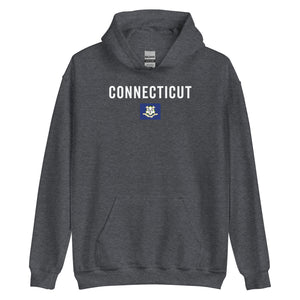 Connecticut State Flag Hoodie