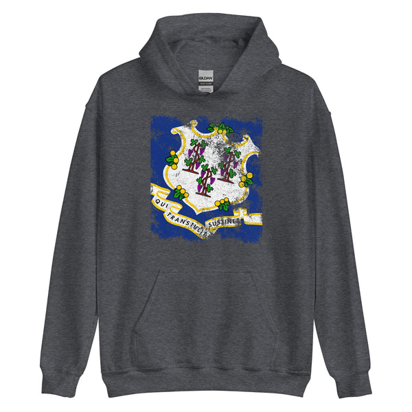 Connecticut State Flag Hoodie