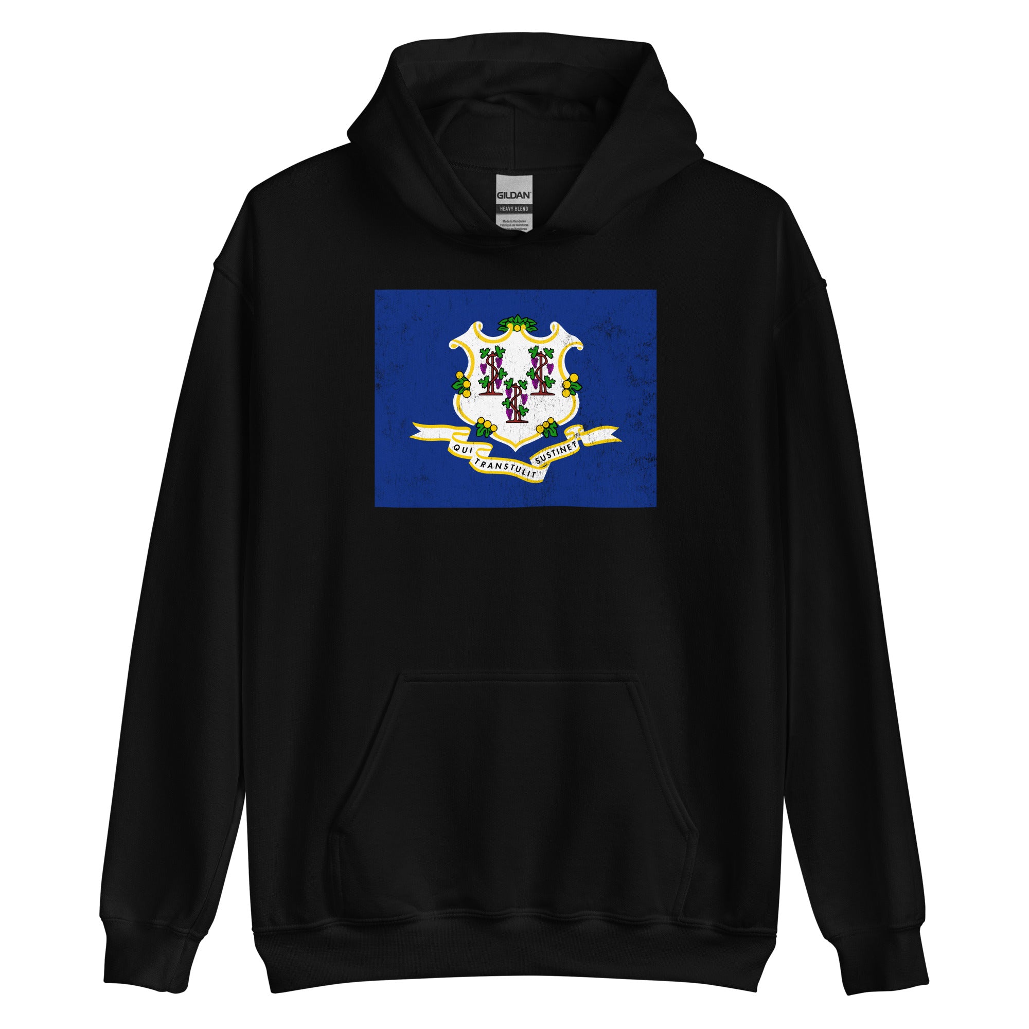 Connecticut State Flag Hoodie