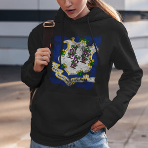 Connecticut State Flag Hoodie