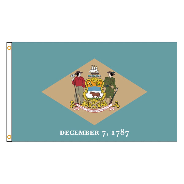 Delaware State Flag - 90x150cm(3x5ft) - 60x90cm(2x3ft)