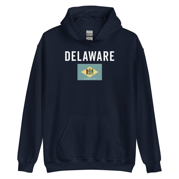 Delaware State Flag Hoodie