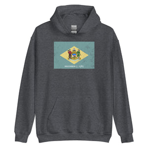 Delaware State Flag Hoodie