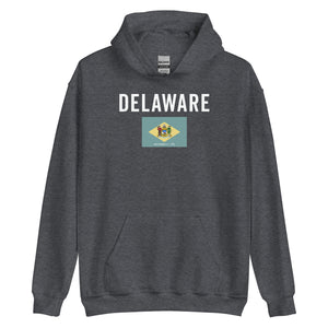 Delaware State Flag Hoodie