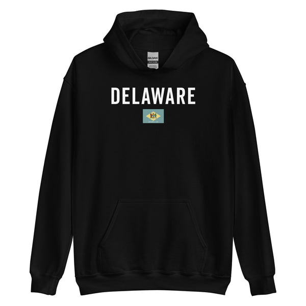 Delaware State Flag Hoodie