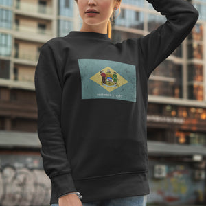 Delaware State Flag Sweatshirt