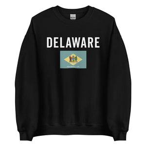 Delaware State Flag Sweatshirt