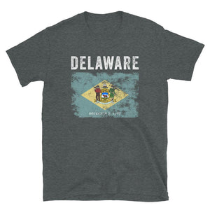 Delaware State Flag T-Shirt