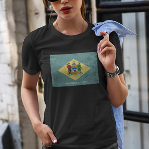 Delaware State Flag T-Shirt