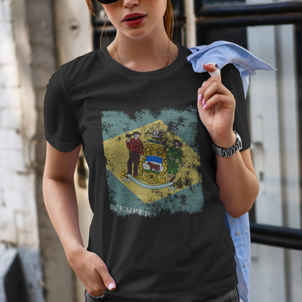 Delaware State Flag T-Shirt