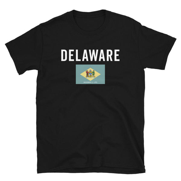 Delaware State Flag T-Shirt