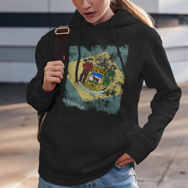 Delaware State Flag Hoodie