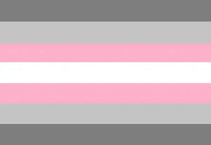 Demiboy Pride Flag - 90x150cm(3x5ft) - 60x90cm(2x3ft) - LGBTQIA2S+