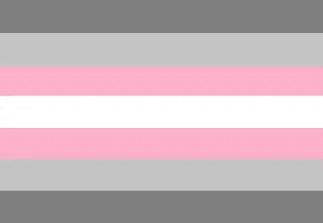 Demiboy Pride Flag - 90x150cm(3x5ft) - 60x90cm(2x3ft) - LGBTQIA2S+