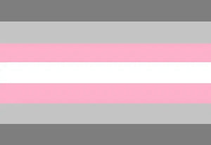 Demiboy Pride Flag - 90x150cm(3x5ft) - 60x90cm(2x3ft) - LGBTQIA2S+