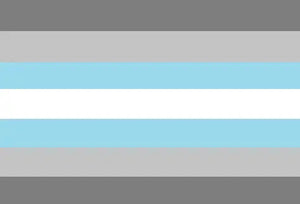 Demigirl Pride Flag - 90x150cm(3x5ft) - 60x90cm(2x3ft) - LGBTQIA2S+